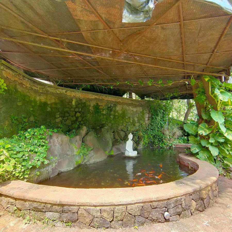 Silverador Resort Thane Bagian luar foto